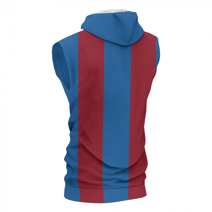 Limited Edition Sleeveless Hoodie