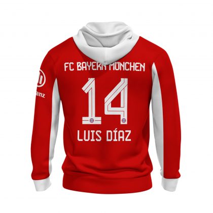 Special Edition Hoodie 25/26